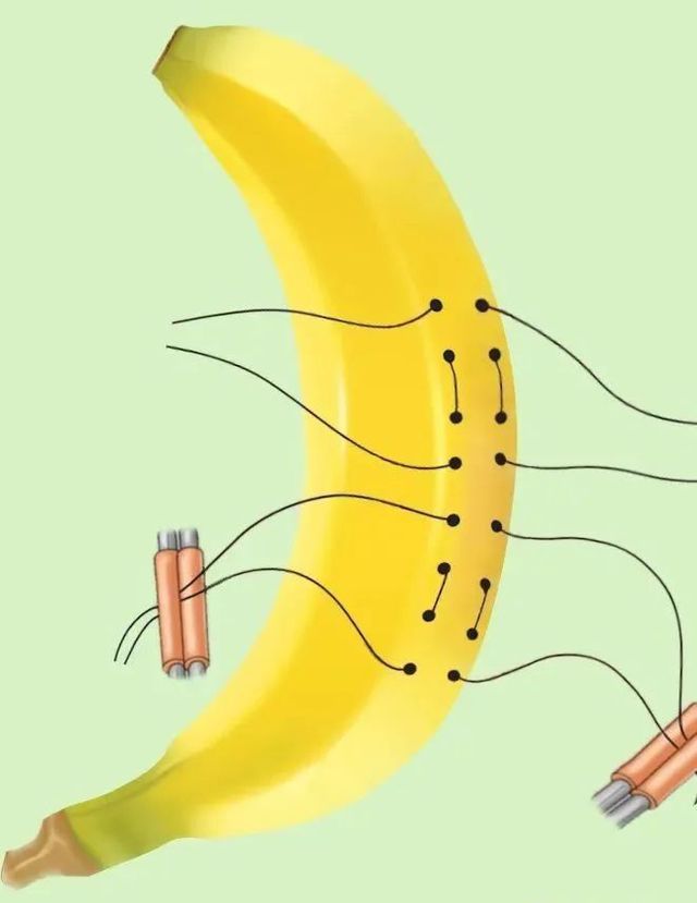 阴茎弯曲有什么影响?- 健康160