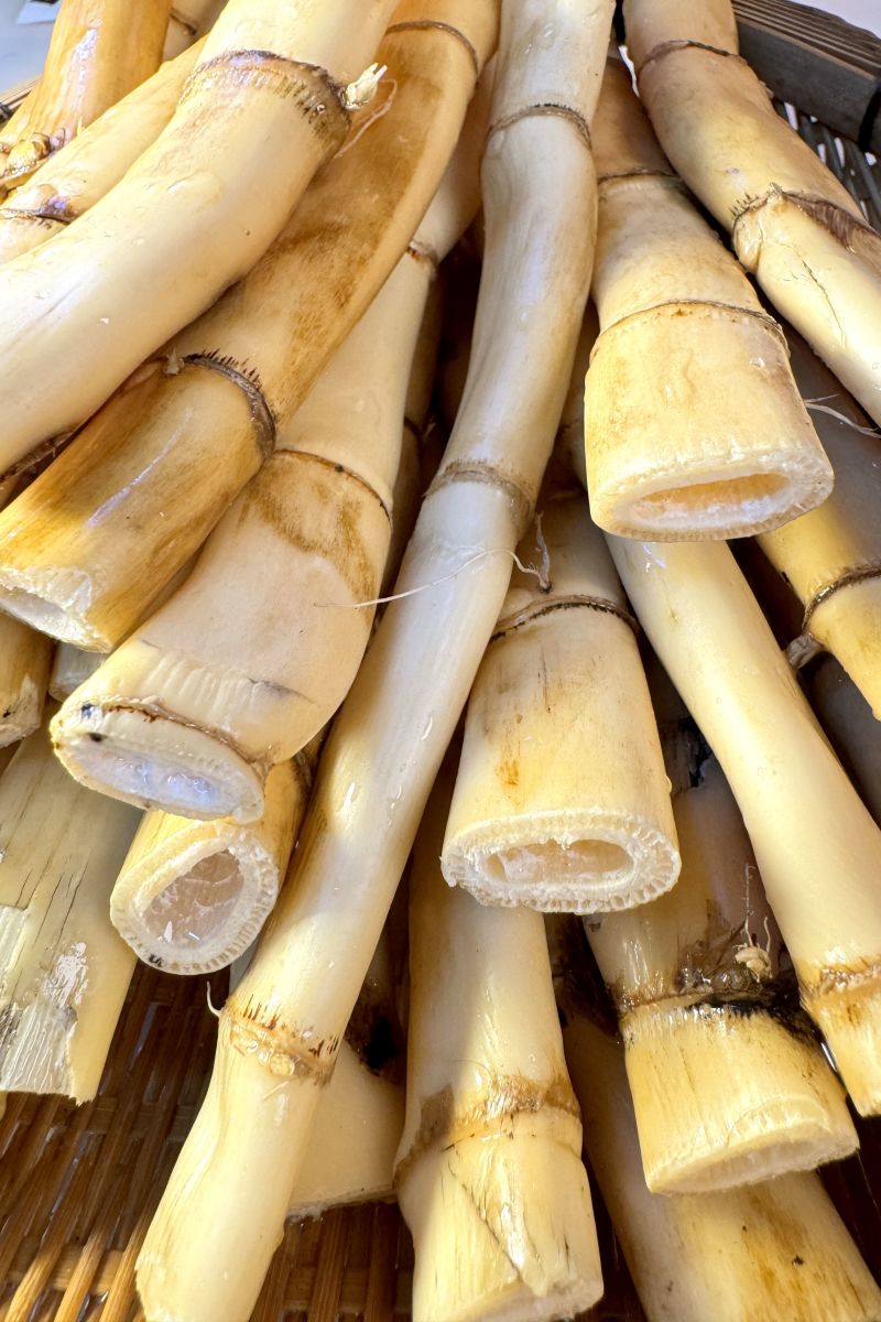 苇茎清芬:疗热救津的本草静语